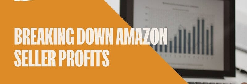 Amazon seller profit